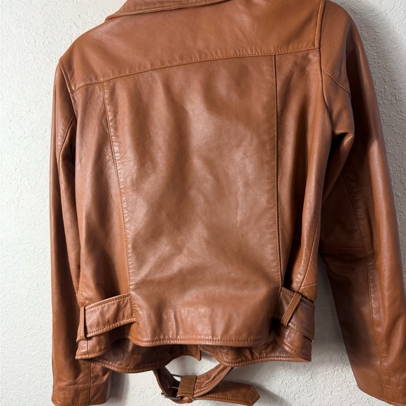 Quince 100% Leather Motorcycle Jacket Sz M - Picture 4 of 8